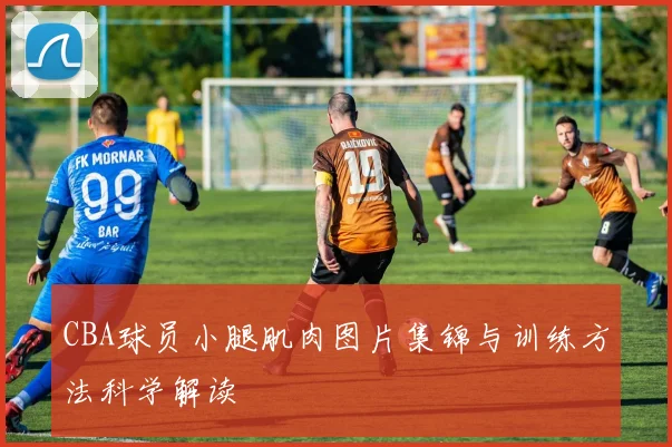 CBA球员小腿肌肉图片集锦与训练方法科学解读