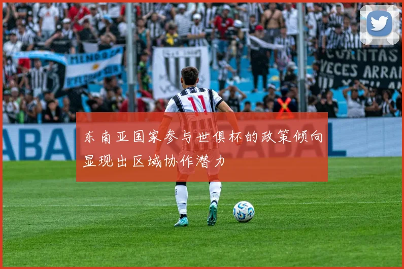 东南亚国家参与世俱杯的政策倾向显现出区域协作潜力