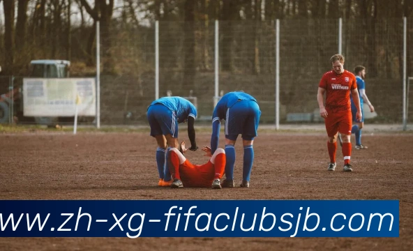 多媒体互动体验