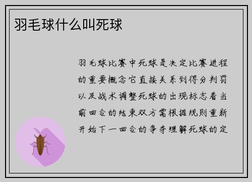 羽毛球什么叫死球