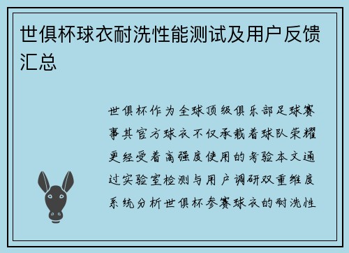 世俱杯球衣耐洗性能测试及用户反馈汇总